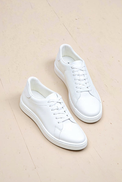 Xander - Classic Elegant Sneakers
