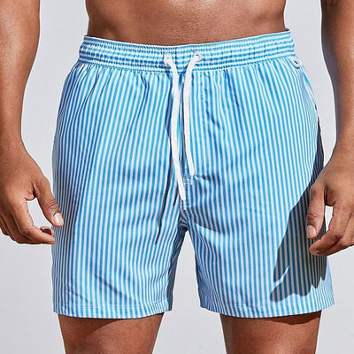 Striped Quick-Dry Men's Swim Shorts